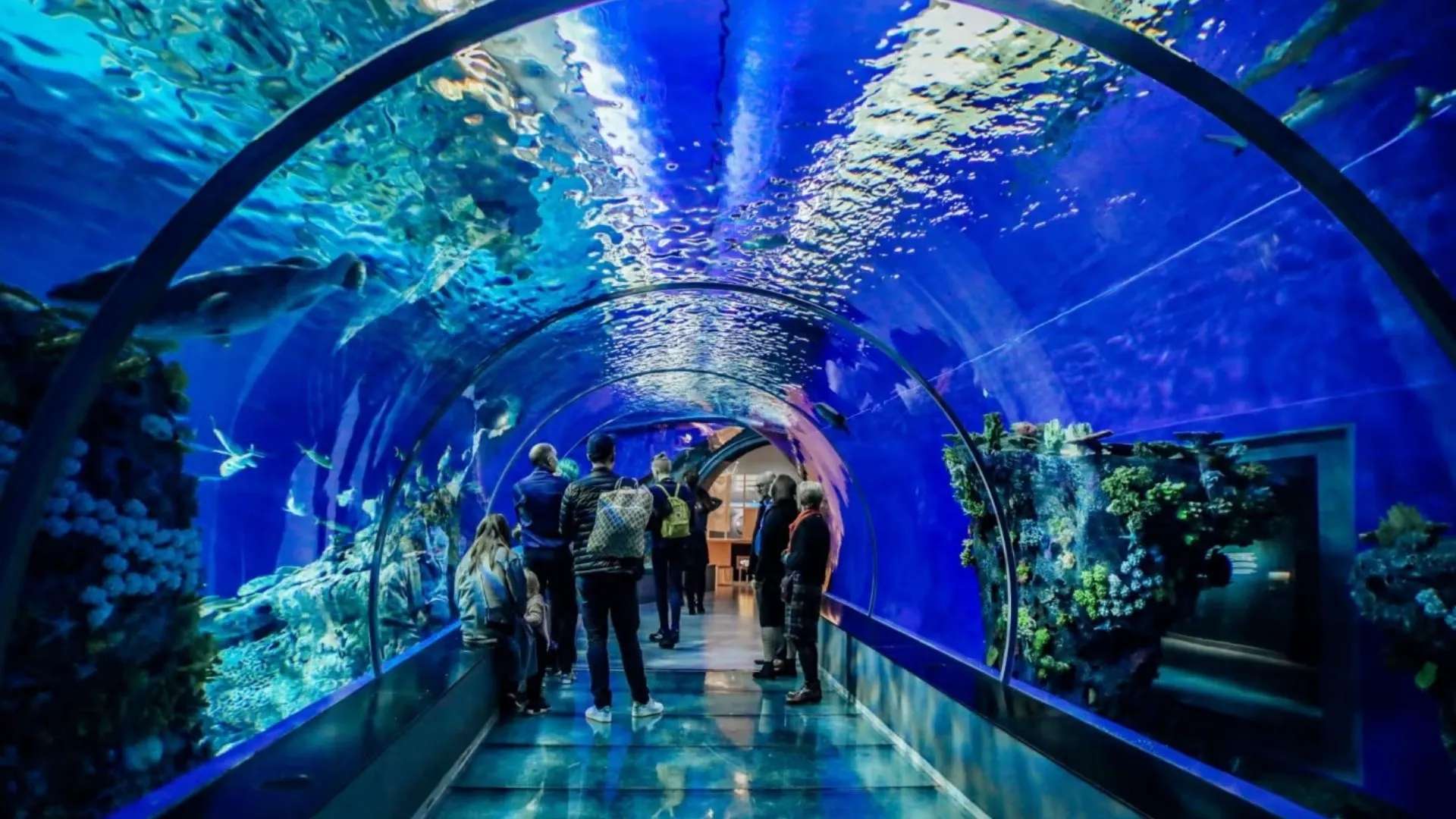 Who Will Enjoy This Experience the Most